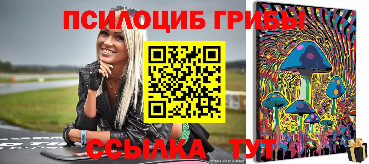 Псилоцибиновые грибы MAGIC MUSHROOMS  Вход с VPN  купить   Красноуфимск 